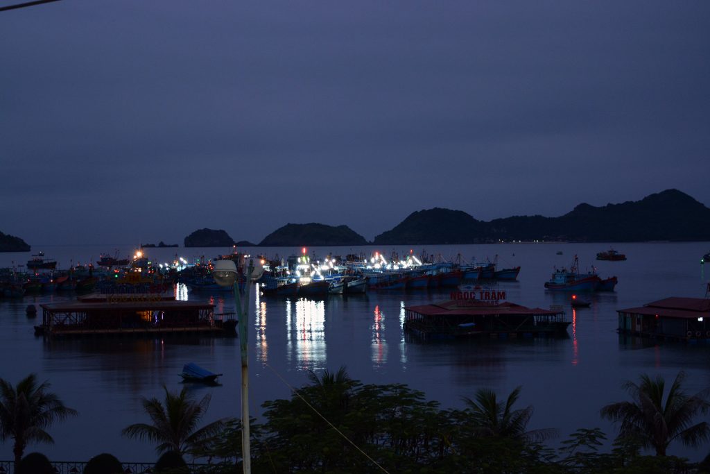 Cat Ba town port at night