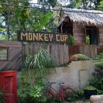 Random coffee shop in the jungle - Monkey Cup