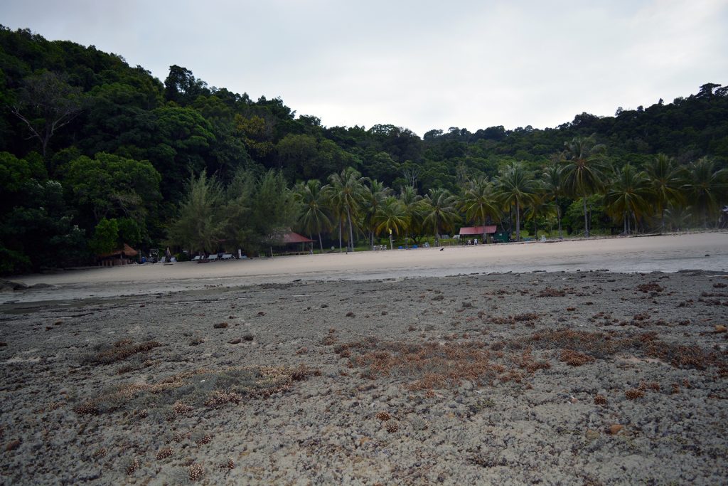 Wild Pasir Panjang beach