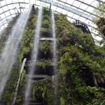 In the Cloud Forest at the Gardens by the Bay, Singapore