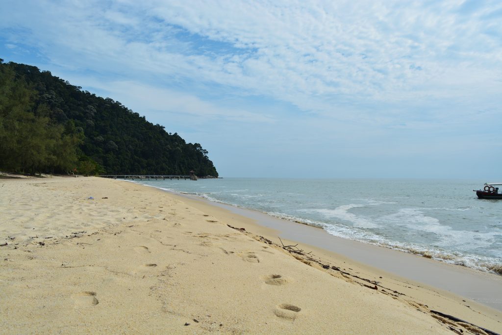 Beach @ Penang National Park, Malaysia